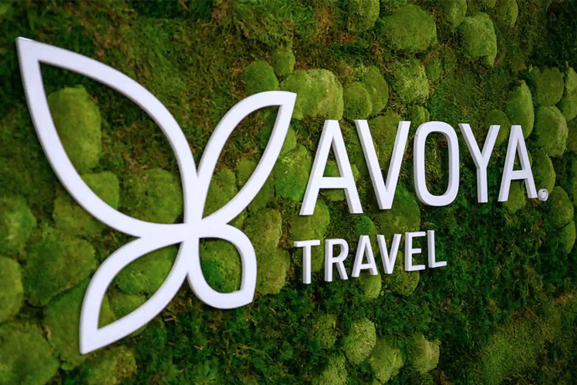 Avoya Travel